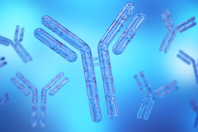 Smarter CMC Strategies To Accelerate Next-Gen Biologics To The Clinic GettyImages-2184219690-antibody-biologic